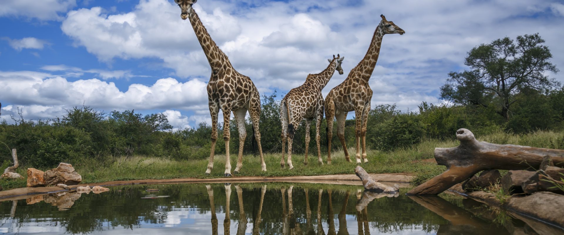 Pilanesberg Game Reserve dramatic landscape