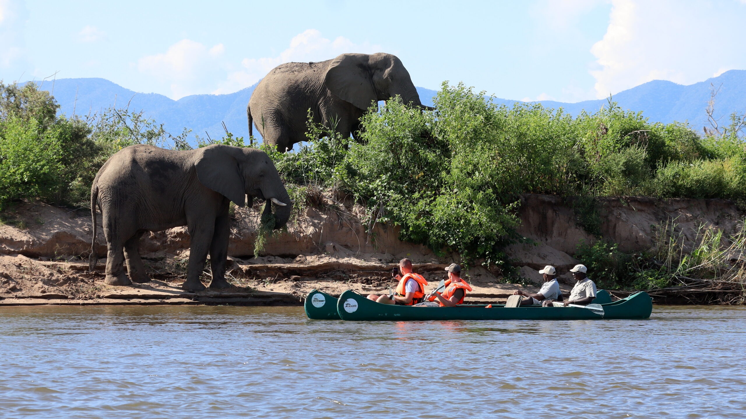 Zambia safari destination